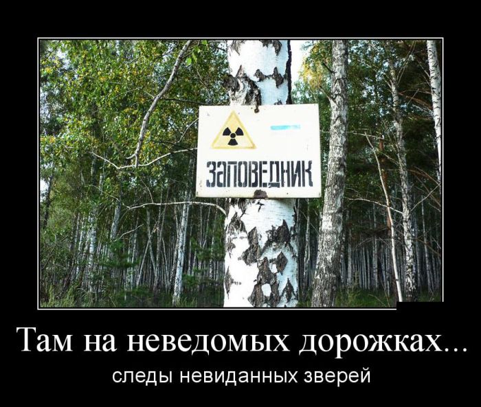 Следы невиданных зверей
