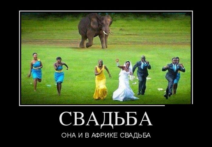 Свадьба в Африке