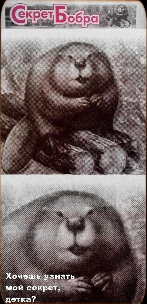 хочишь узнать сикрет бабра, детка?