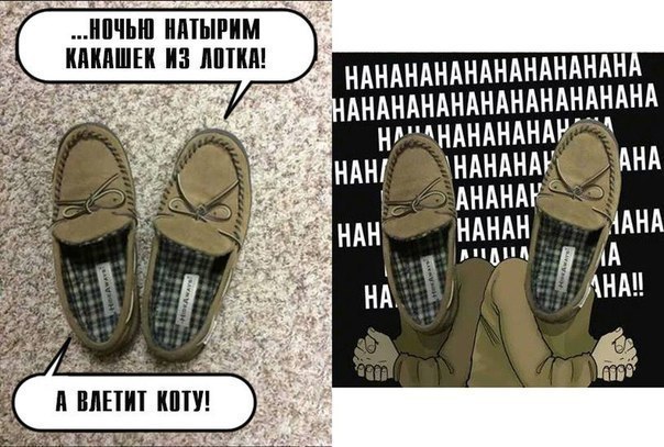 тапки-злодеи)))))