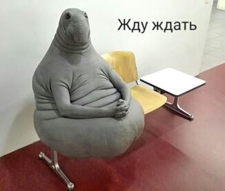 Жду ждать))))
