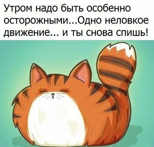 Осторожность,утром