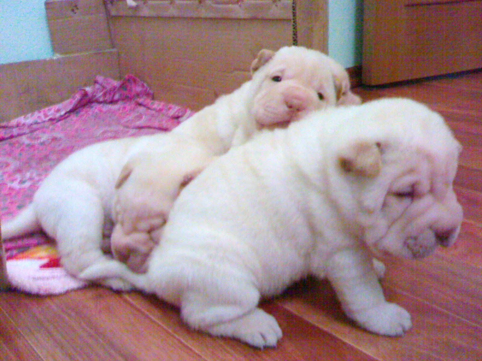 Найди четвертого