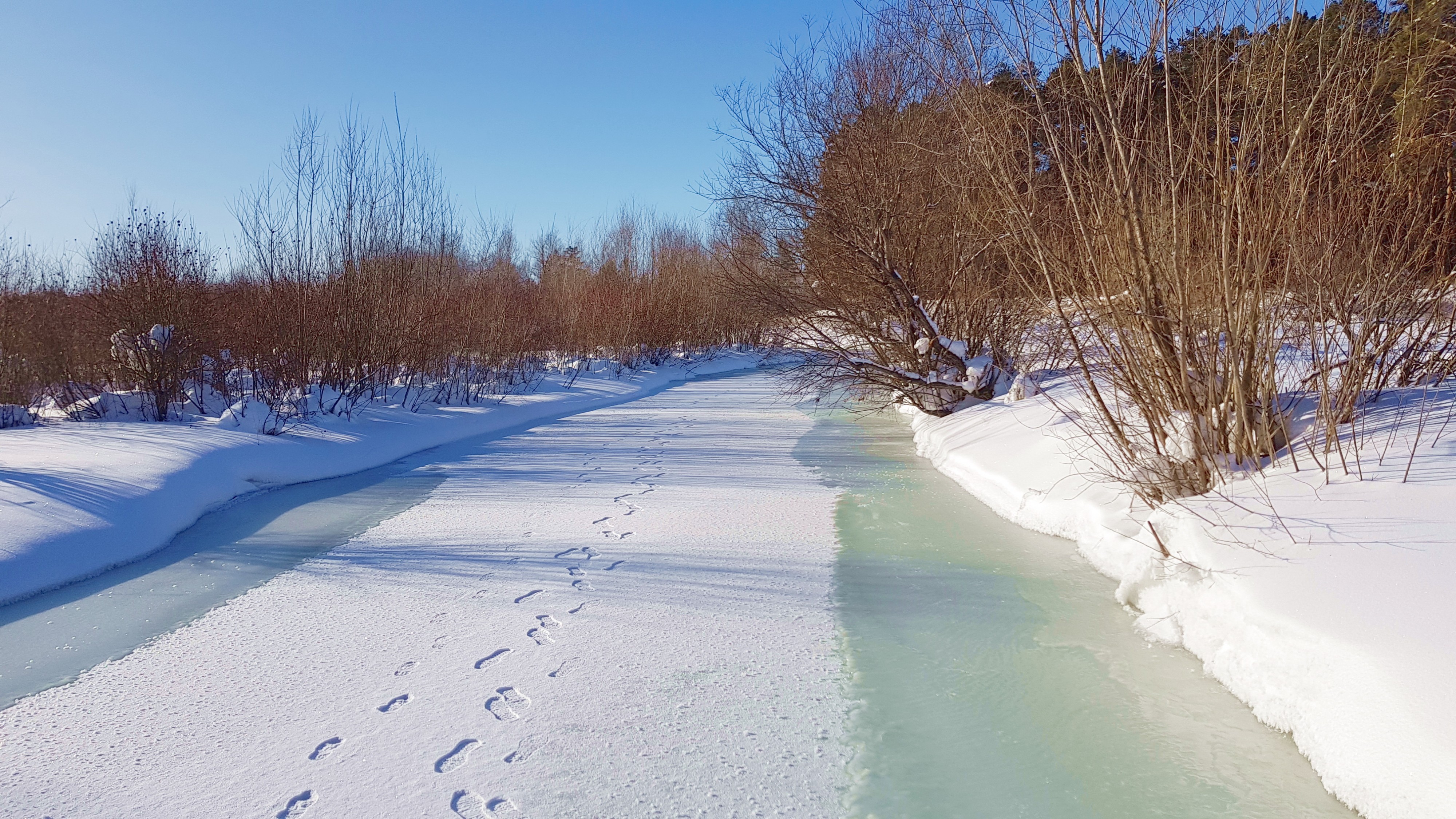 Еловка январь 2018