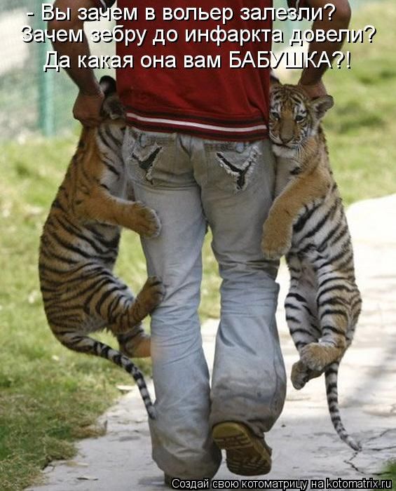 C18dafcafdfed7433123c63c48c