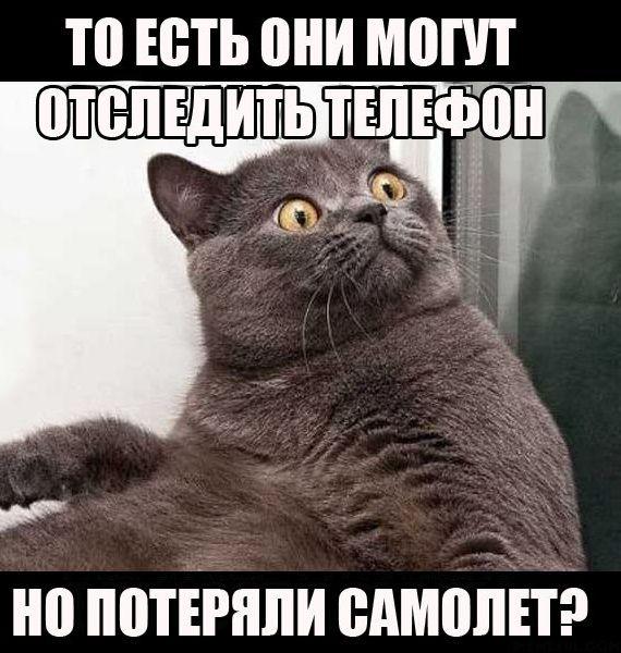 Потеряли самолет