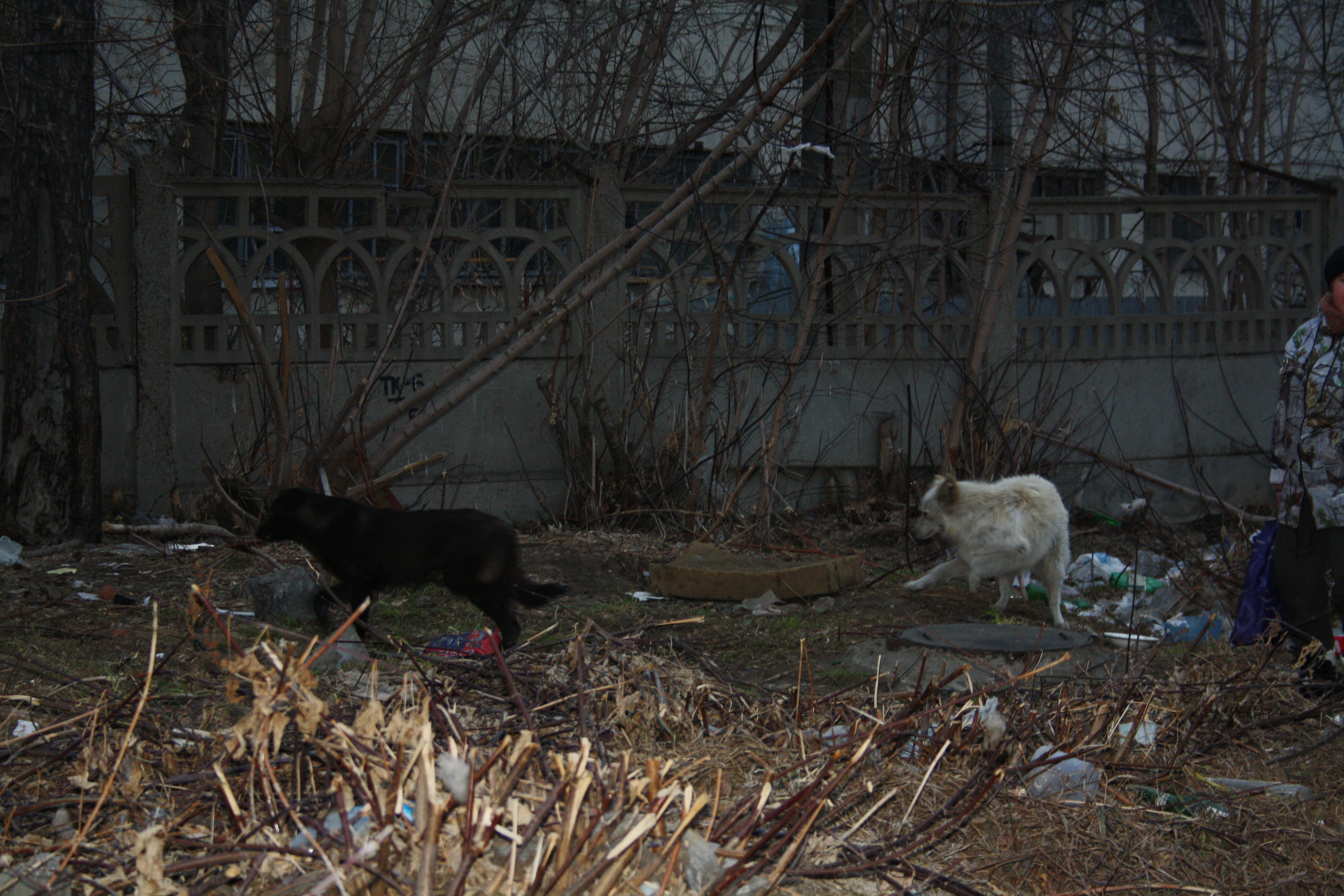 вот и свалка и косвенные виновники