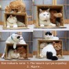 Как поймать кота