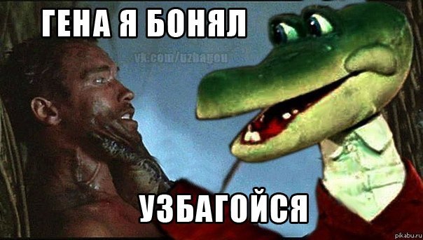 Гена, узбагойзя)))))