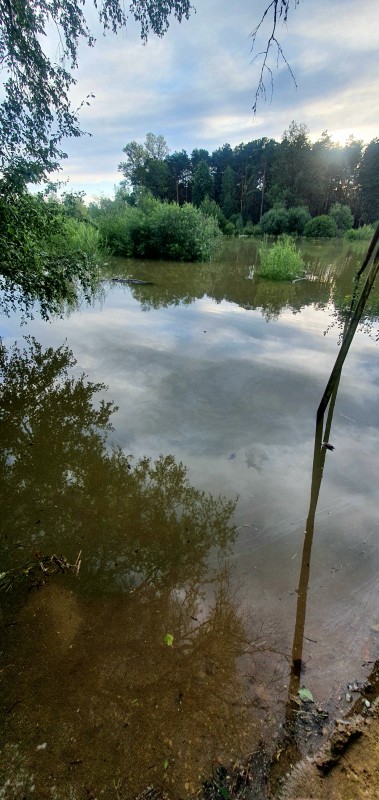 нед мостега ыыыыыы нед мостега ыыыыыы