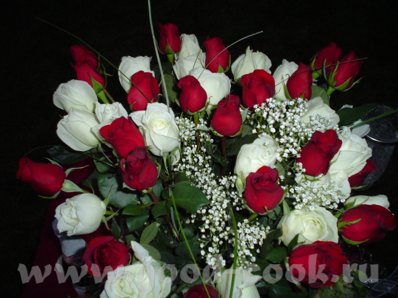 31dd035cf63b2ea373cddcc80a9aa04f