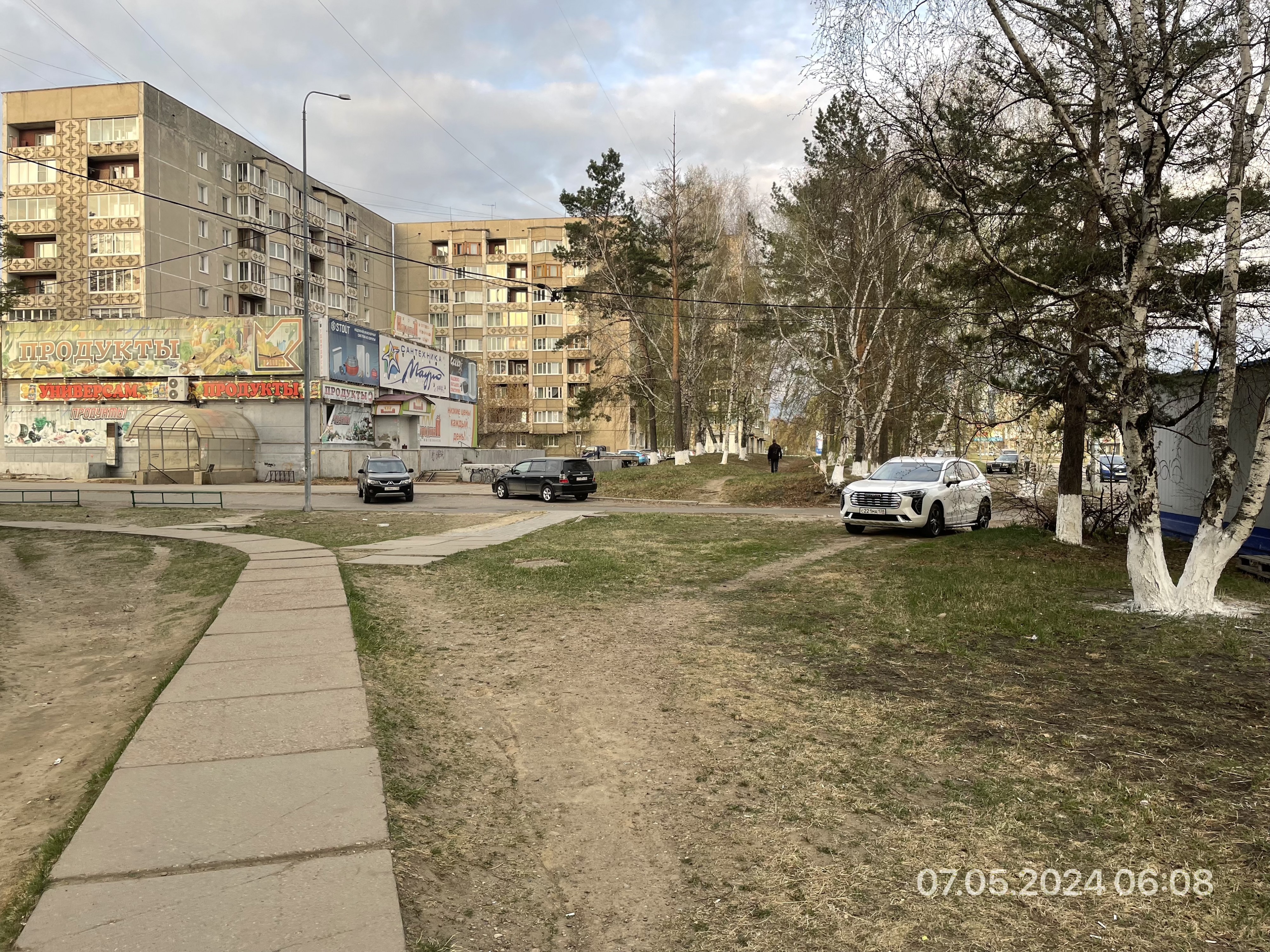 Свинья неугомонная