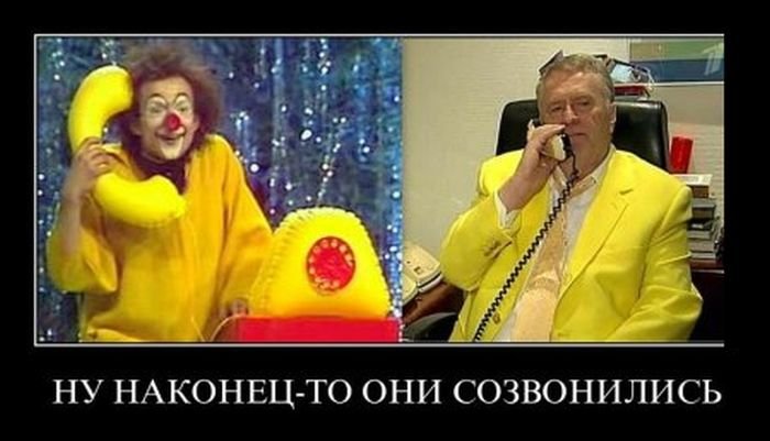 жир