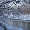 IMG 6415