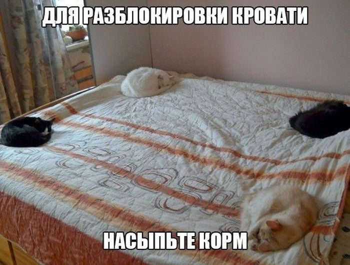 Разблокировка