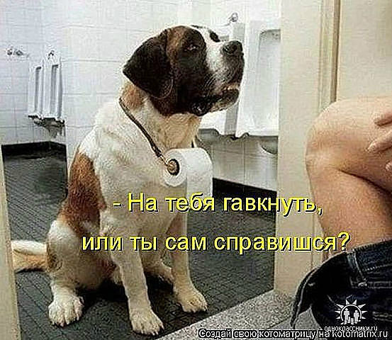 GetImage (15)