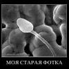 Фотка Фотка