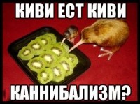 киви)))) киви))))
