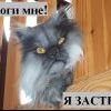 Бандюган Бандюган