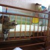 поругались