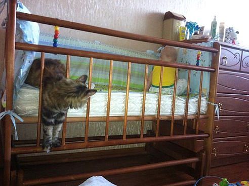 поругались