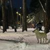 IMG 7692