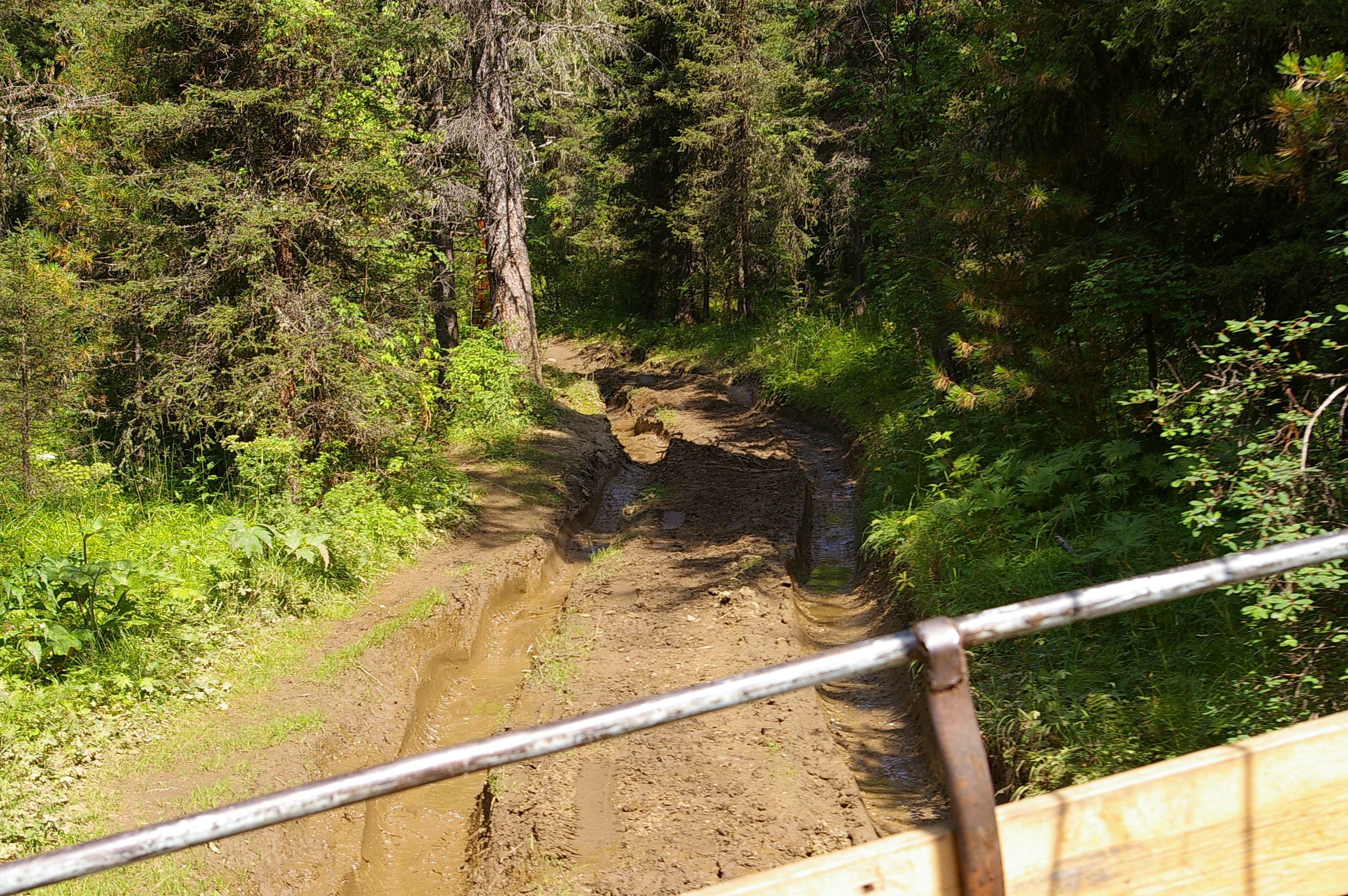 вроде дорога ровная, а автобус все равно идет криво