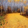 70022ba6260d3d09b615eef6eae 70022ba6260d3d09b615eef6eae