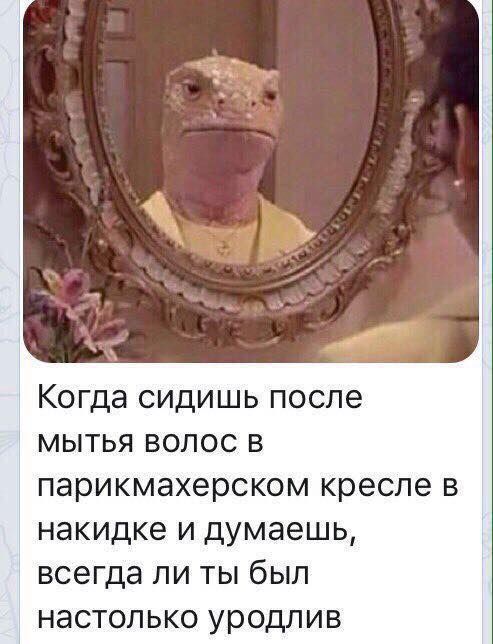 В парикмахерском кресле