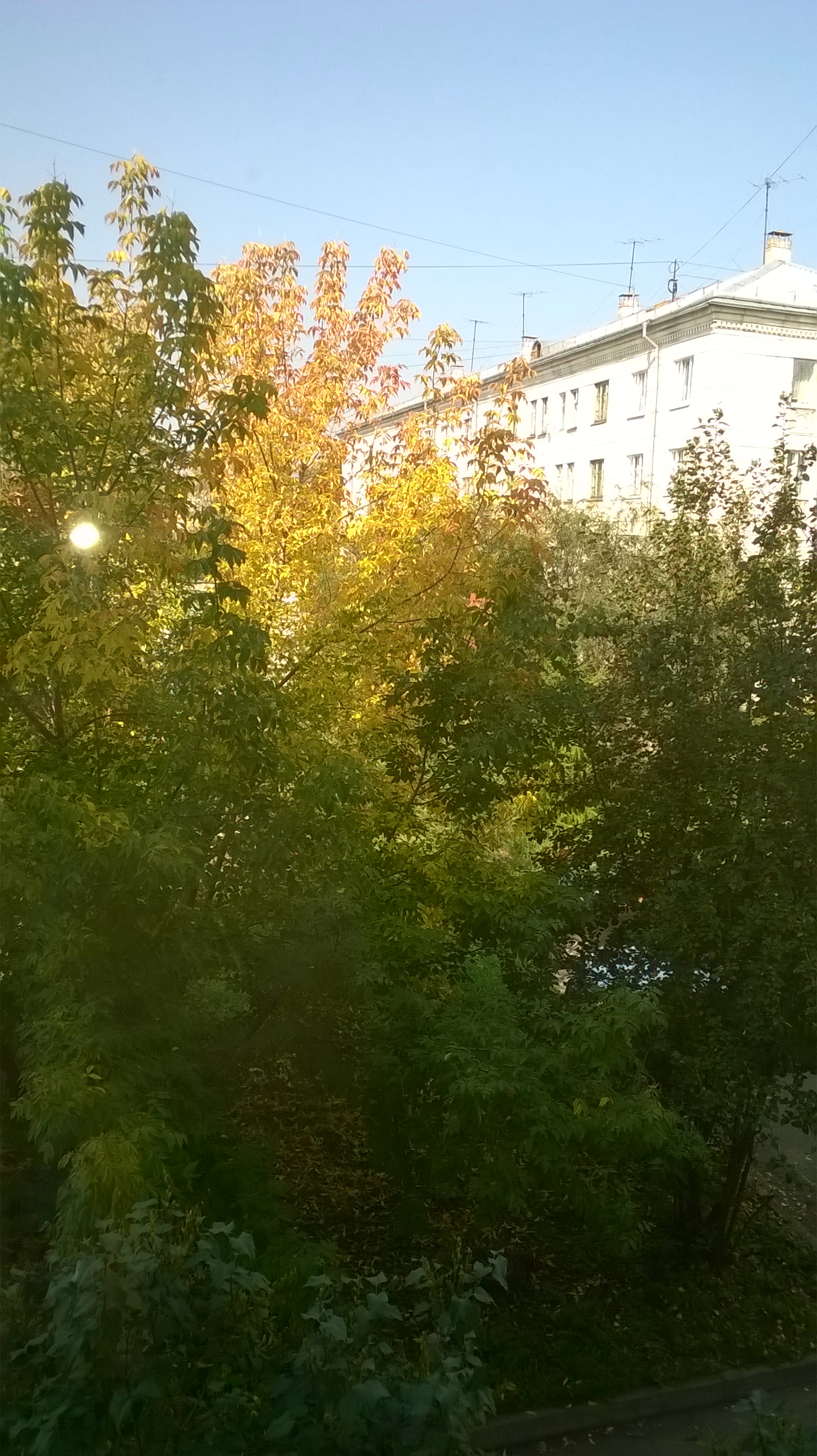 Осенний вид из окна