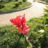 IMG 4092