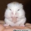 Отче наш Отче наш