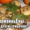 нямка