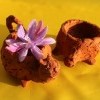 Вазанова Аня  10 лет