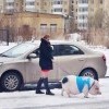 Домашний питомец