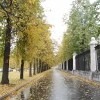 К Воробьёвым горам К Воробьёвым горам
