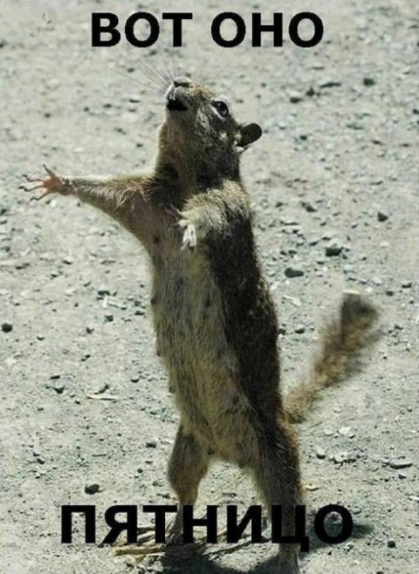 И снова Пятницо!