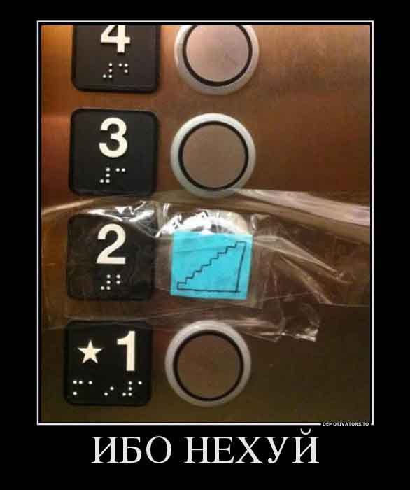 Ибо нехуй