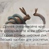 Круг друзей