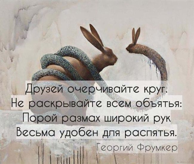Круг друзей
