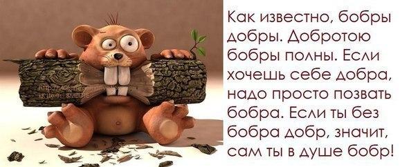 Бобры-добры