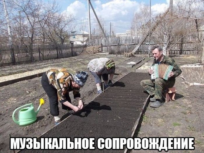 Музыкальное сопровождение