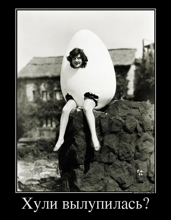 99735696 huli-vyilupilas