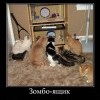 Зомбо-ящик