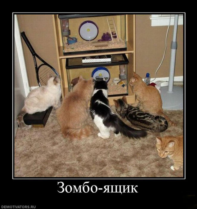 Зомбо-ящик