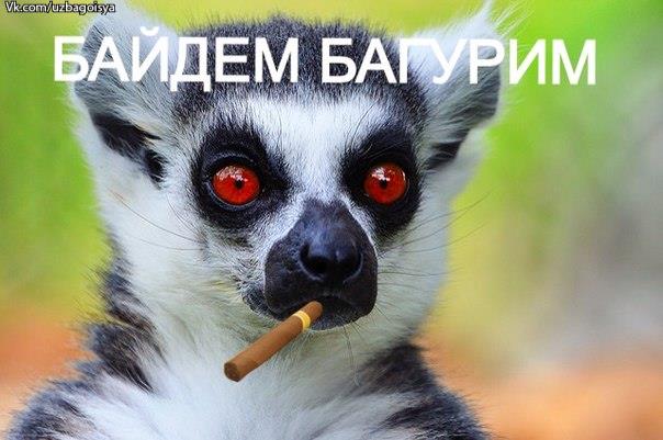 байдём багурим))))))