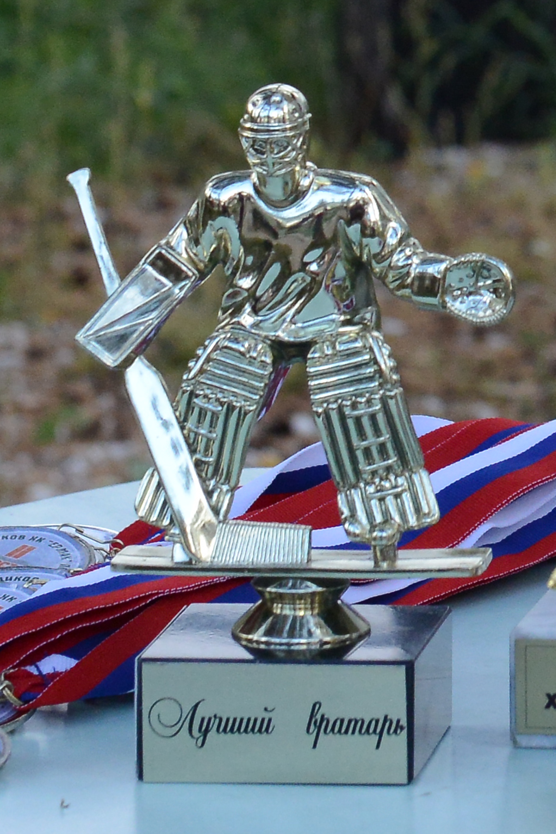 Кубок болельщиков Ермака 2014