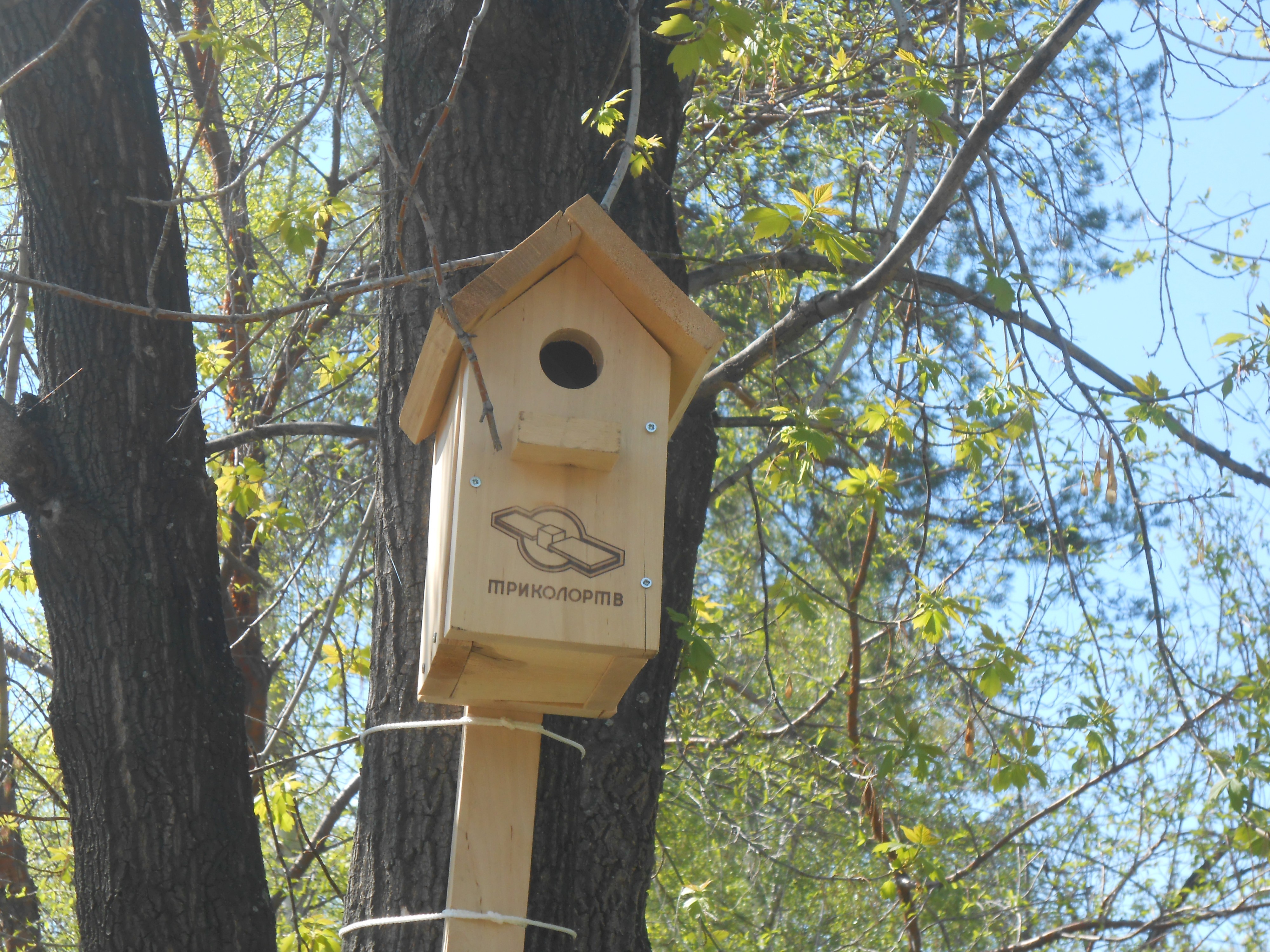 реклама - двигатель орнитологии)))