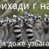 брихади г нам))))) брихади г нам)))))