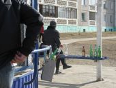 Павлин